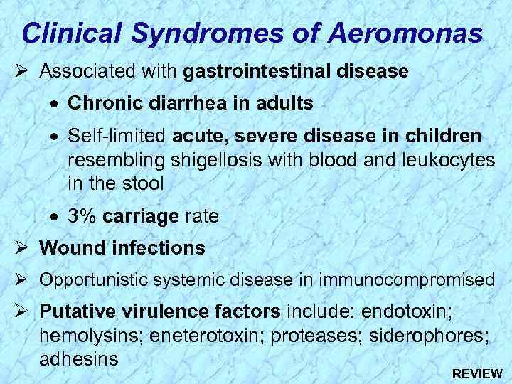 Clinical Syndromes of Aeromonas Ø Associated with gastrointestinal disease · Chronic diarrhea in adults