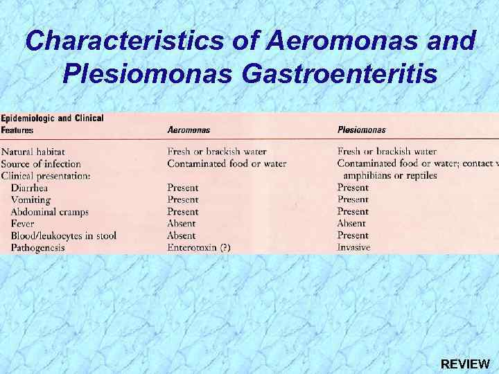 Characteristics of Aeromonas and Plesiomonas Gastroenteritis REVIEW 