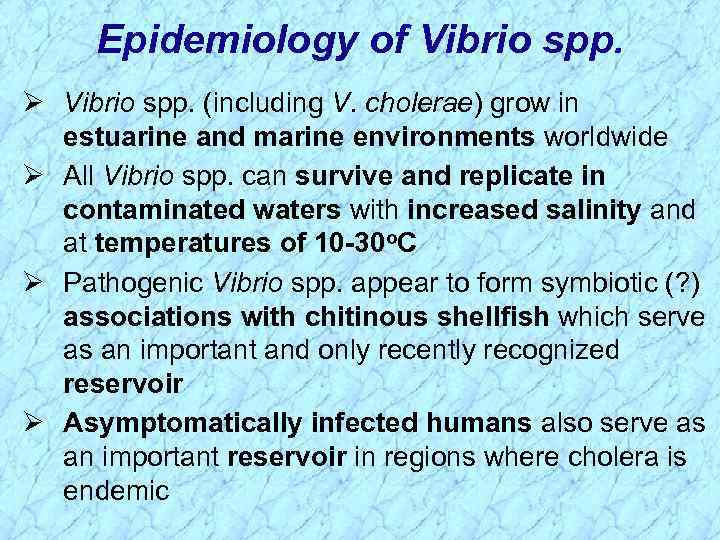 Epidemiology of Vibrio spp. Ø Vibrio spp. (including V. cholerae) grow in estuarine and