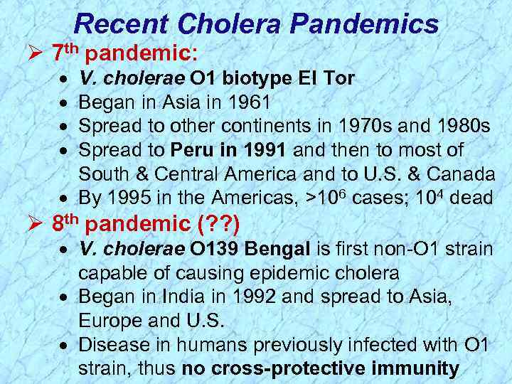 Recent Cholera Pandemics Ø 7 th pandemic: · · V. cholerae O 1 biotype