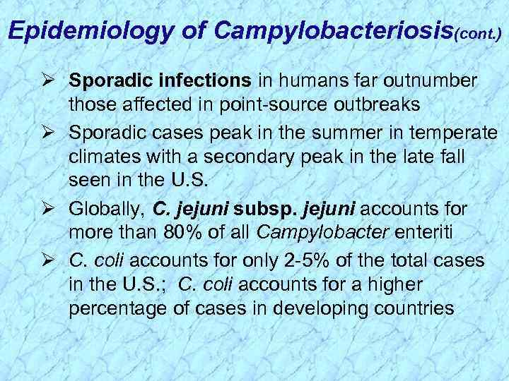 Epidemiology of Campylobacteriosis(cont. ) Ø Sporadic infections in humans far outnumber those affected in