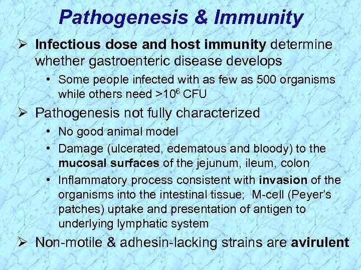 Pathogenesis & Immunity Ø Infectious dose and host immunity determine whether gastroenteric disease develops