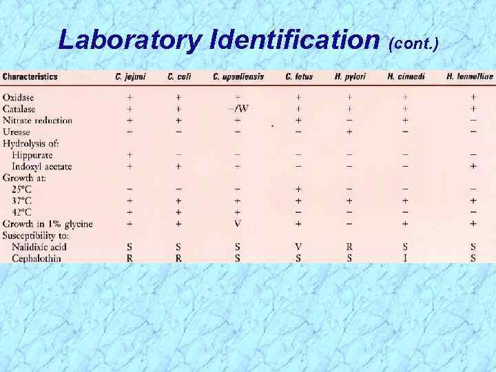 Laboratory Identification (cont. ) 