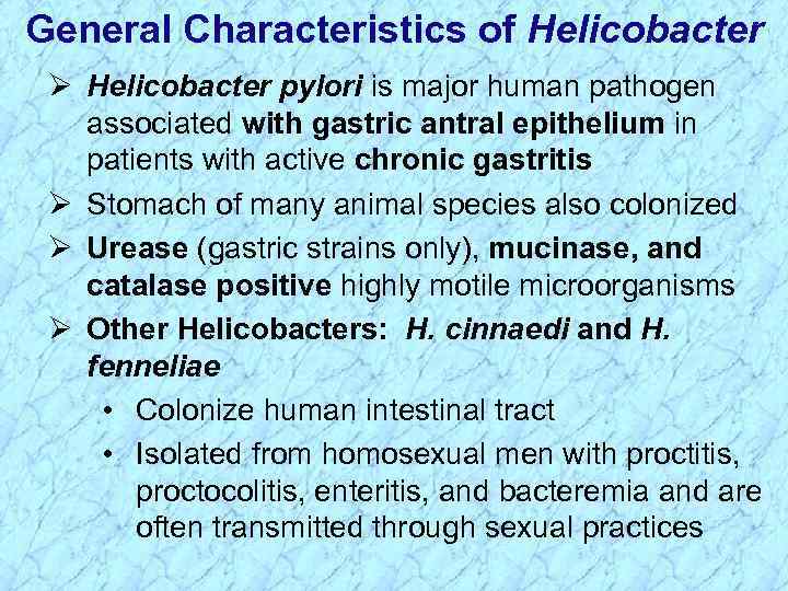 General Characteristics of Helicobacter Ø Helicobacter pylori is major human pathogen associated with gastric
