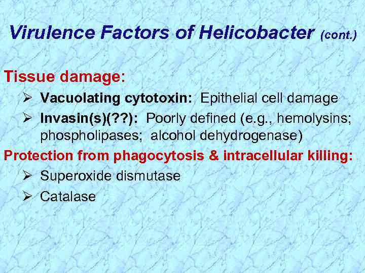 Virulence Factors of Helicobacter (cont. ) Tissue damage: Ø Vacuolating cytotoxin: Epithelial cell damage