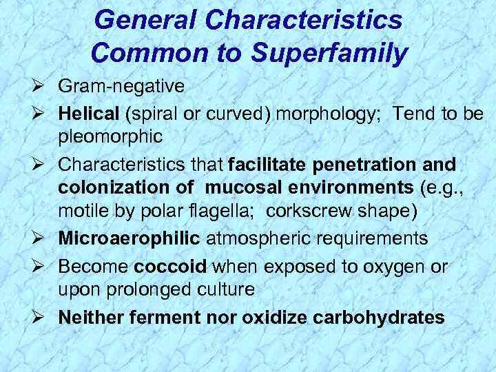 General Characteristics Common to Superfamily Ø Gram-negative Ø Helical (spiral or curved) morphology; Tend