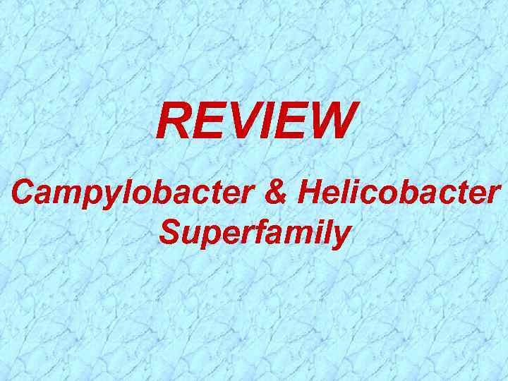 REVIEW Campylobacter & Helicobacter Superfamily 