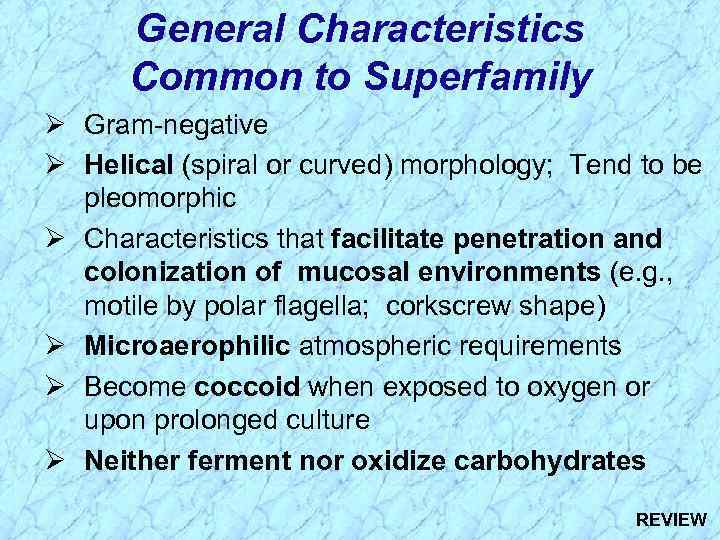 General Characteristics Common to Superfamily Ø Gram-negative Ø Helical (spiral or curved) morphology; Tend
