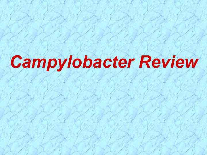 Campylobacter Review 