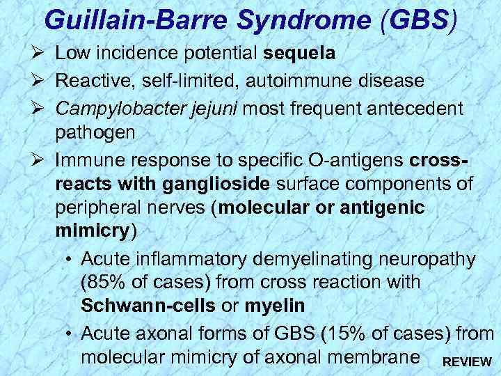 Guillain-Barre Syndrome (GBS) Ø Low incidence potential sequela Ø Reactive, self-limited, autoimmune disease Ø
