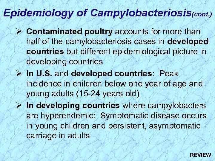 Epidemiology of Campylobacteriosis(cont. ) Ø Contaminated poultry accounts for more than half of the