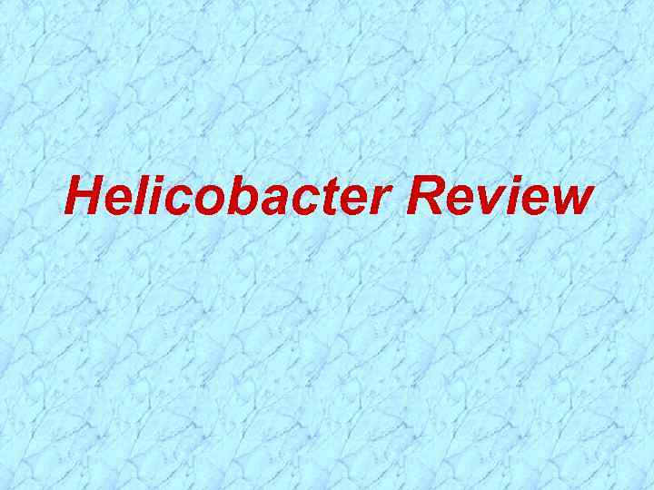 Helicobacter Review 