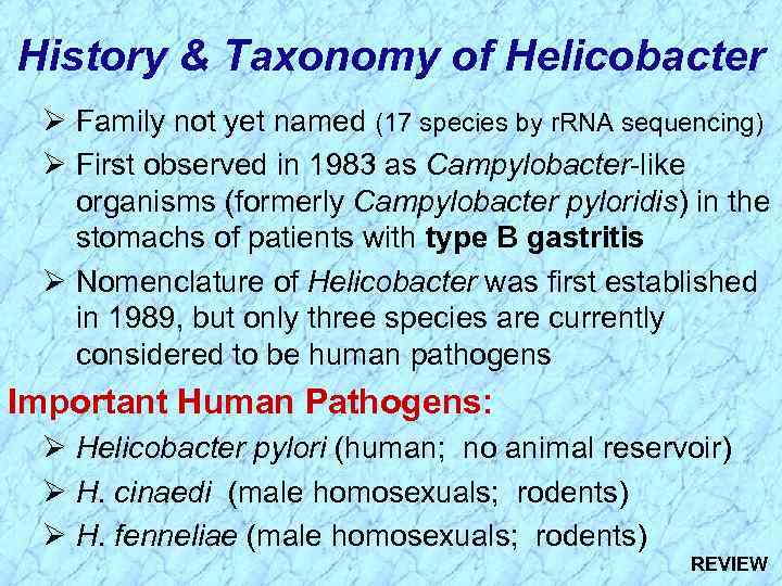 History & Taxonomy of Helicobacter Ø Family not yet named (17 species by r.