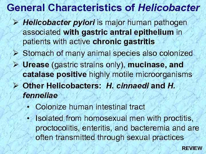 General Characteristics of Helicobacter Ø Helicobacter pylori is major human pathogen associated with gastric