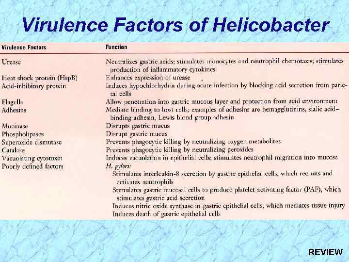 Virulence Factors of Helicobacter REVIEW 