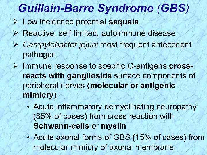 Guillain-Barre Syndrome (GBS) Ø Low incidence potential sequela Ø Reactive, self-limited, autoimmune disease Ø