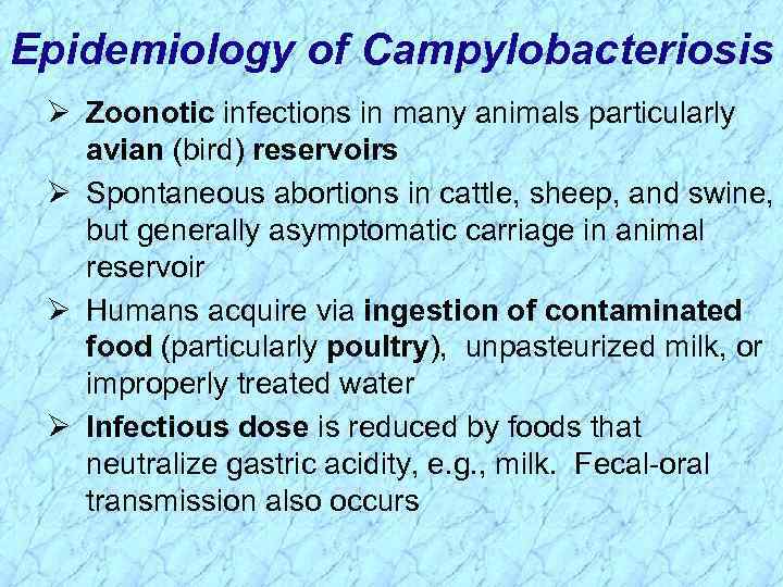Epidemiology of Campylobacteriosis Ø Zoonotic infections in many animals particularly avian (bird) reservoirs Ø