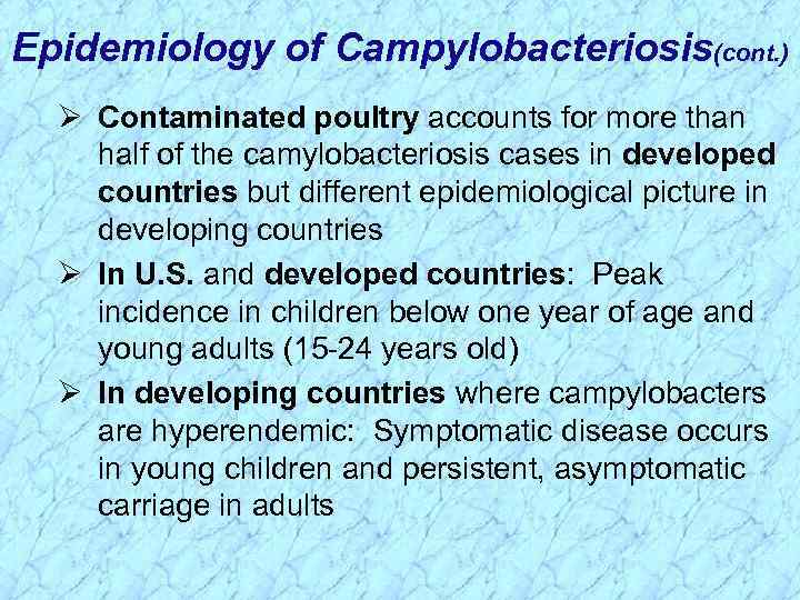 Epidemiology of Campylobacteriosis(cont. ) Ø Contaminated poultry accounts for more than half of the