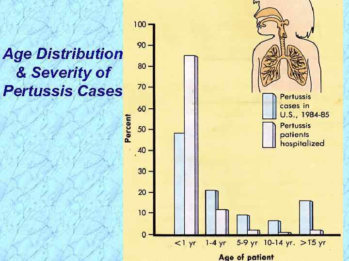 Age Distribution & Severity of Pertussis Cases 
