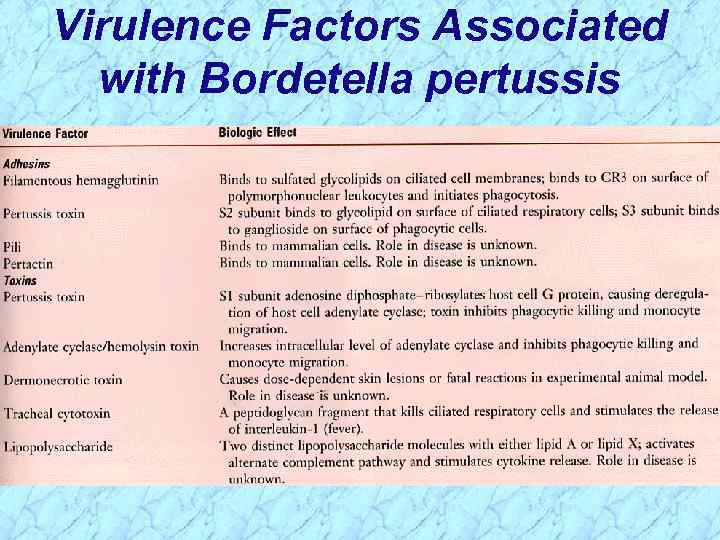 Virulence Factors Associated with Bordetella pertussis 