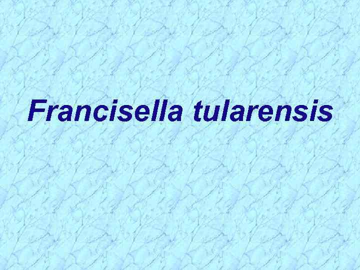 Francisella tularensis 