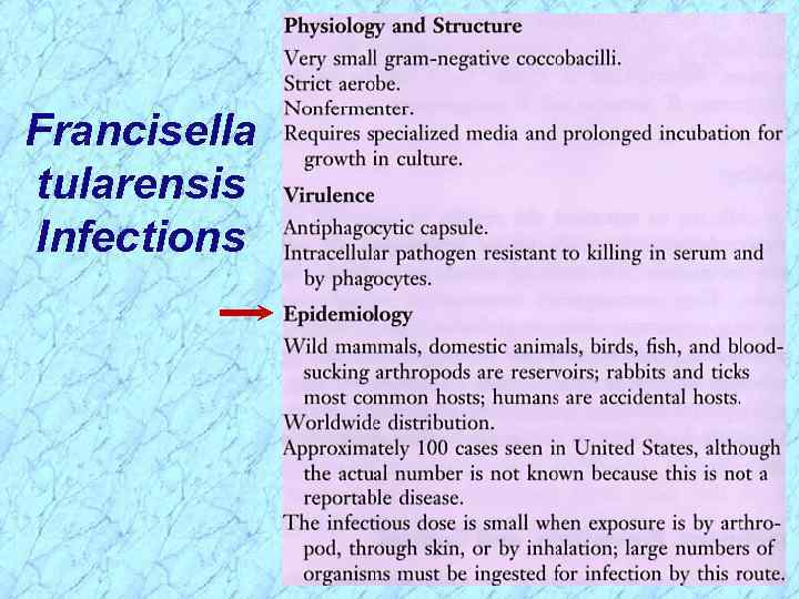 Francisella tularensis Infections 