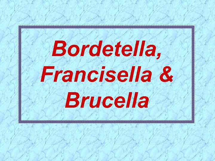 Bordetella, Francisella & Brucella 