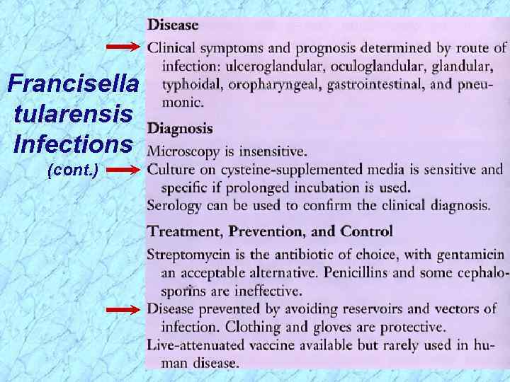 Francisella tularensis Infections (cont. ) 