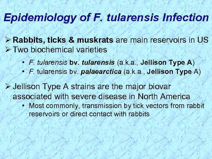 Epidemiology of F. tularensis Infection Ø Rabbits, ticks & muskrats are main reservoirs in