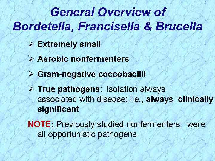 General Overview of Bordetella, Francisella & Brucella Ø Extremely small Ø Aerobic nonfermenters Ø