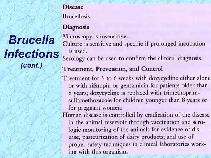 Brucella Infections (cont. ) 