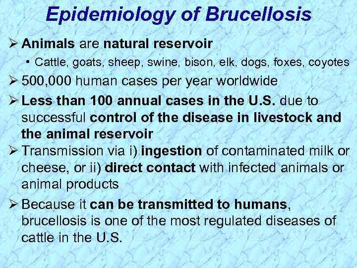 Epidemiology of Brucellosis Ø Animals are natural reservoir • Cattle, goats, sheep, swine, bison,
