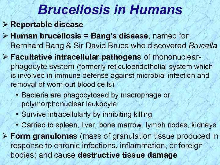 Brucellosis in Humans Ø Reportable disease Ø Human brucellosis = Bang's disease, named for