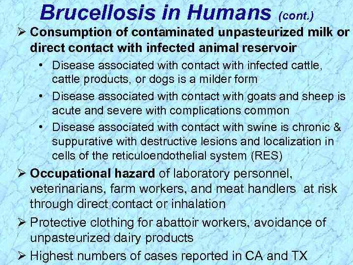 Brucellosis in Humans (cont. ) Ø Consumption of contaminated unpasteurized milk or direct contact