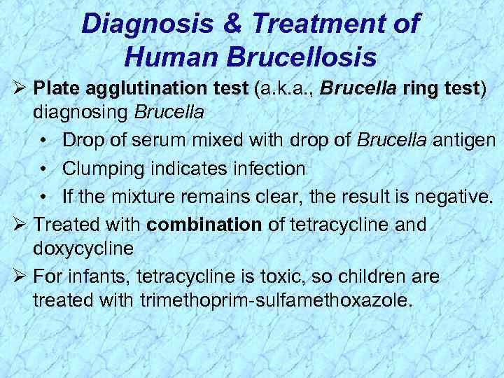 Diagnosis & Treatment of Human Brucellosis Ø Plate agglutination test (a. k. a. ,