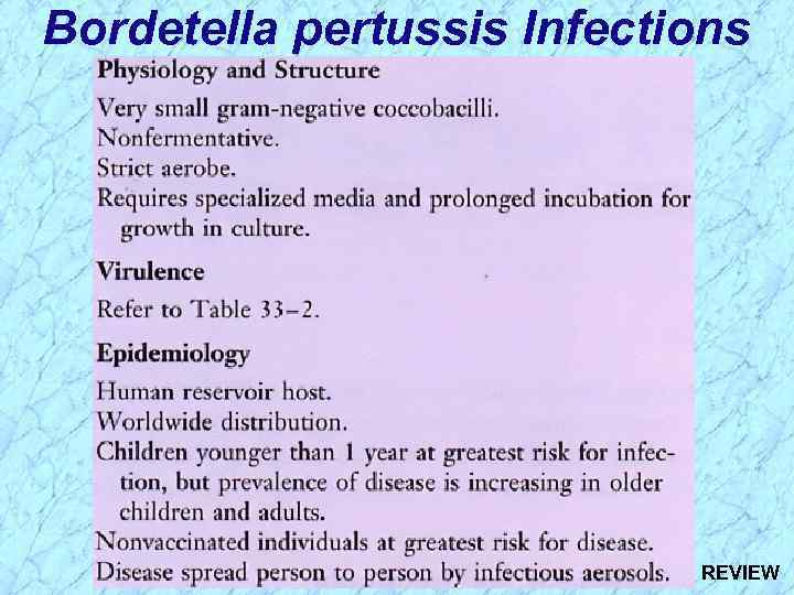 Bordetella pertussis Infections REVIEW 