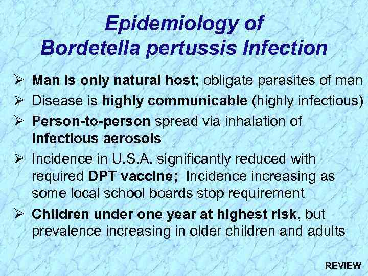 Epidemiology of Bordetella pertussis Infection Ø Man is only natural host; obligate parasites of