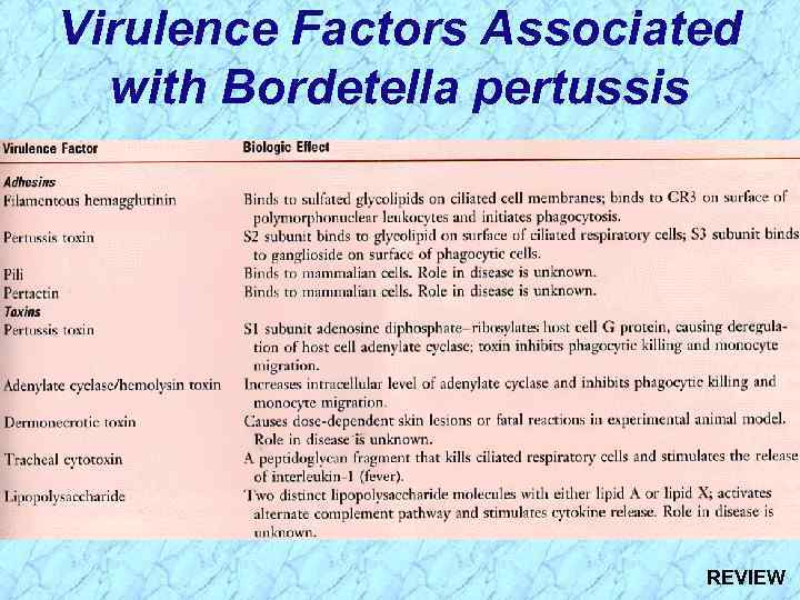 Virulence Factors Associated with Bordetella pertussis REVIEW 