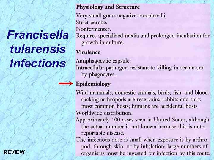 Francisella tularensis Infections REVIEW 