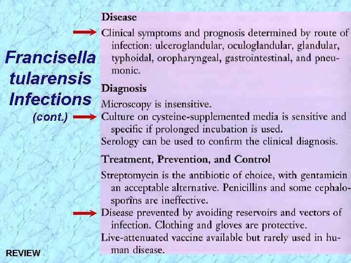 Francisella tularensis Infections (cont. ) REVIEW 