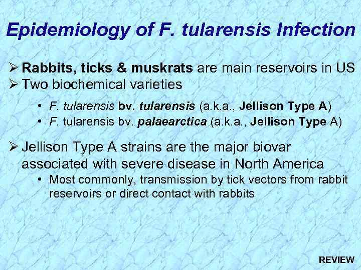 Epidemiology of F. tularensis Infection Ø Rabbits, ticks & muskrats are main reservoirs in