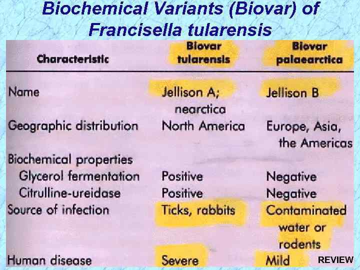 Biochemical Variants (Biovar) of Francisella tularensis REVIEW 