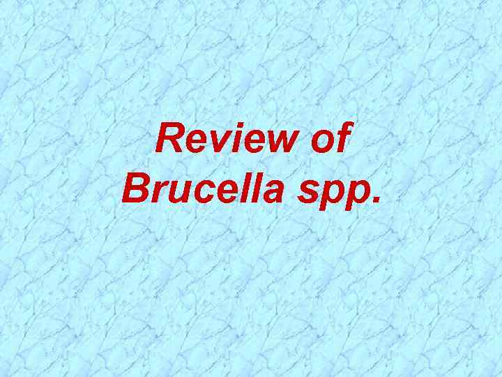 Review of Brucella spp. 