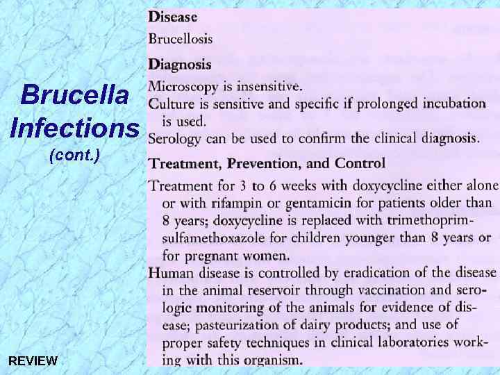 Brucella Infections (cont. ) REVIEW 