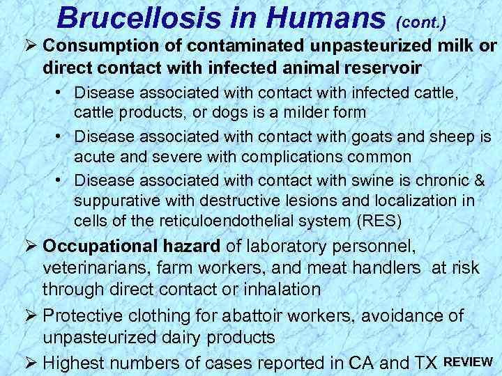 Brucellosis in Humans (cont. ) Ø Consumption of contaminated unpasteurized milk or direct contact