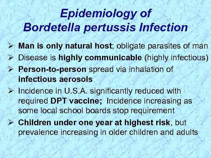 Epidemiology of Bordetella pertussis Infection Ø Man is only natural host; obligate parasites of