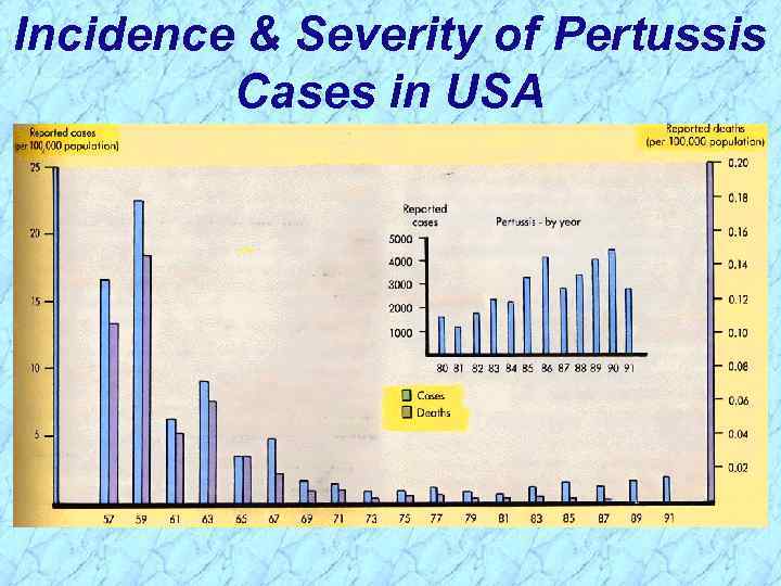 Incidence & Severity of Pertussis Cases in USA 
