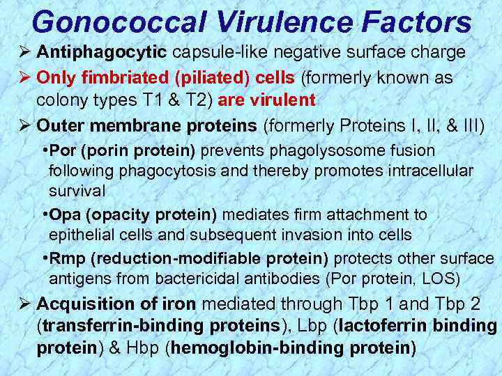 Gonococcal Virulence Factors Ø Antiphagocytic capsule-like negative surface charge Ø Only fimbriated (piliated) cells