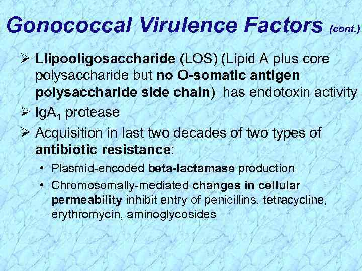 Gonococcal Virulence Factors (cont. ) Ø Llipooligosaccharide (LOS) (Lipid A plus core polysaccharide but