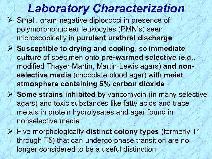 Laboratory Characterization Ø Small, gram-negative diplococci in presence of polymorphonuclear leukocytes (PMN’s) seen microscopically